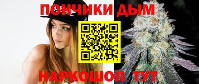 бошки Кингисепп