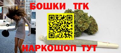 бошки Кингисепп