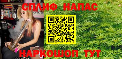 бошки Кингисепп