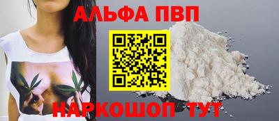 бошки Кингисепп