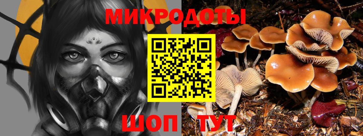 Псилоцибиновые грибы прущие грибы  Вход с VPN  Тулун 