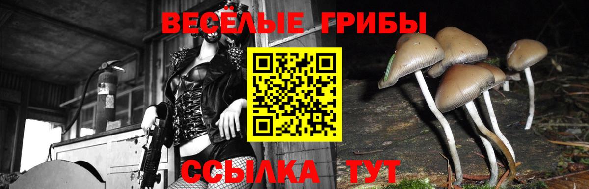 Галлюциногенные грибы MAGIC MUSHROOMS Тулун